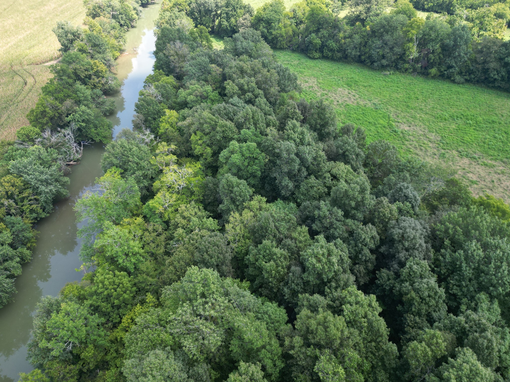0 Joe Gulley Road Pulaski, TN 38478 - Photo 33 of 42 an aerial view of residential house with outdoor space and trees all around