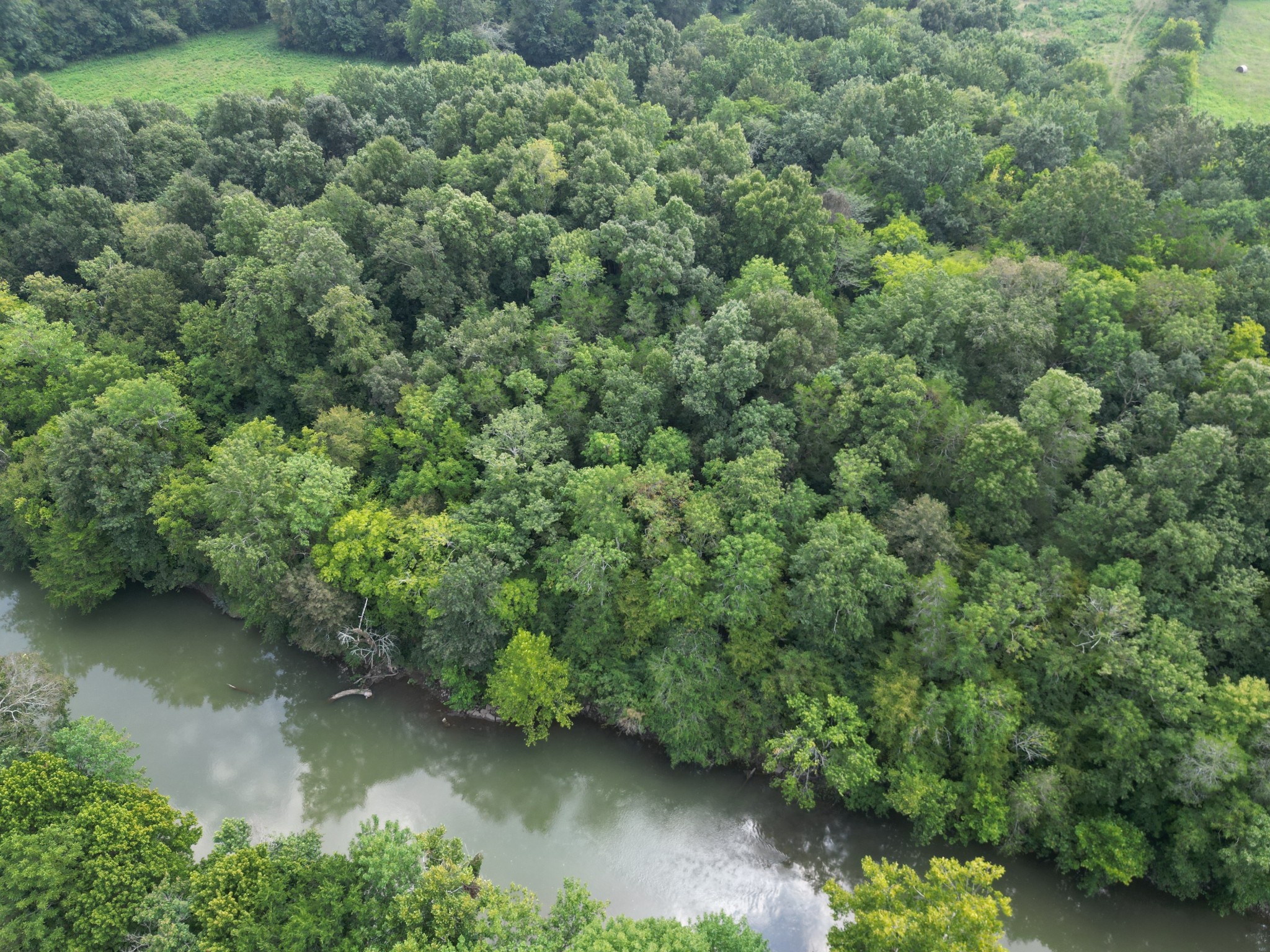 0 Joe Gulley Road Pulaski, TN 38478 - Photo 34 of 42 an aerial view of a forest with houses