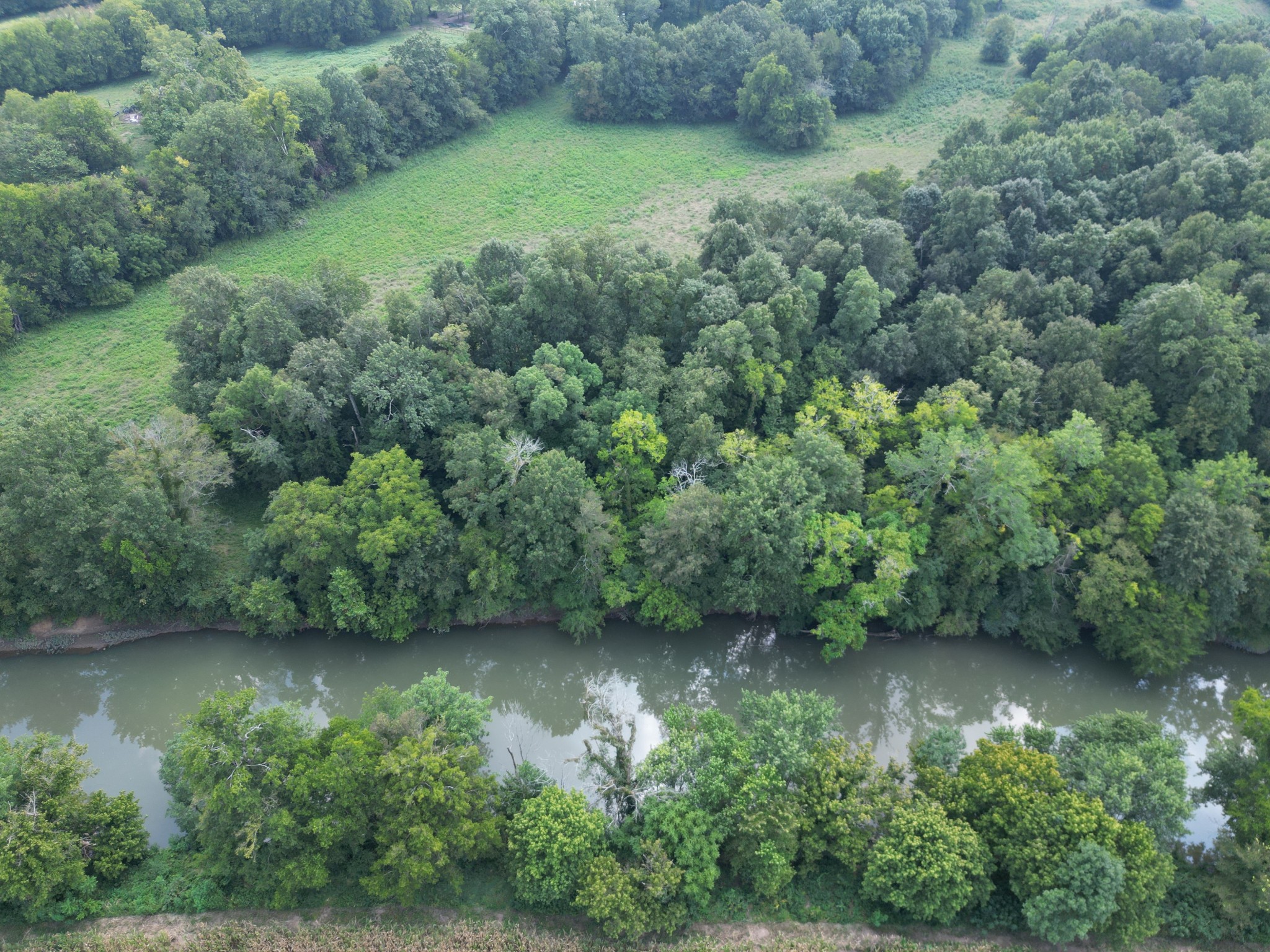 0 Joe Gulley Road Pulaski, TN 38478 - Photo 35 of 42 an aerial view of a house with a yard swimming pool and outdoor seating