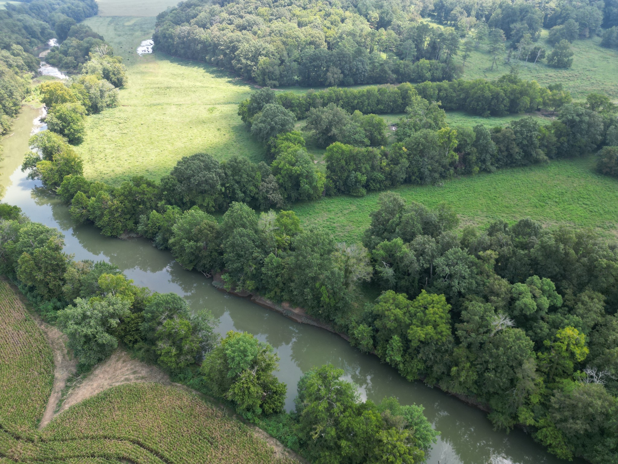 0 Joe Gulley Road Pulaski, TN 38478 - Photo 36 of 42 a view of a lush green forest with lots of trees
