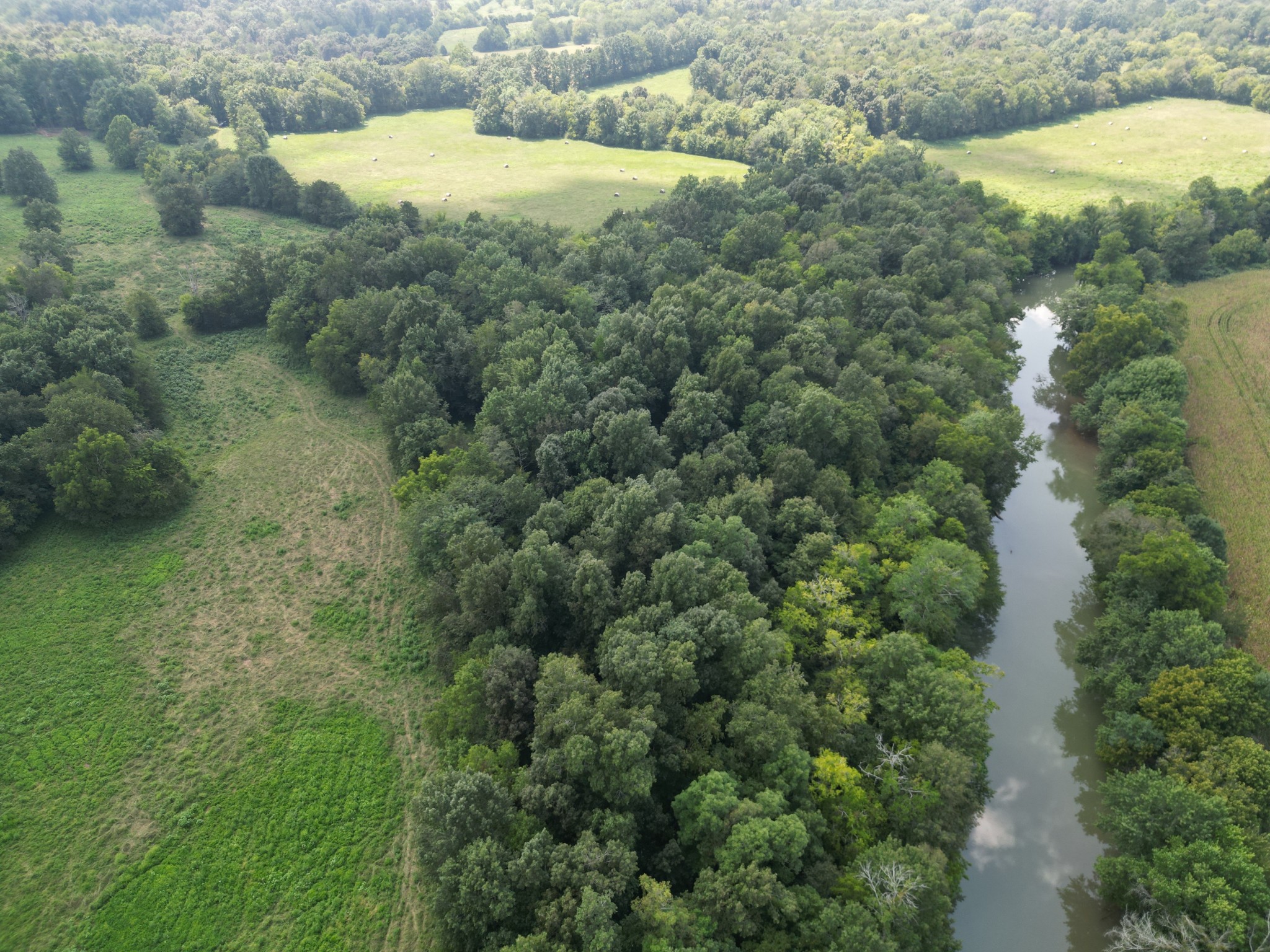 0 Joe Gulley Road Pulaski, TN 38478 - Photo 37 of 42