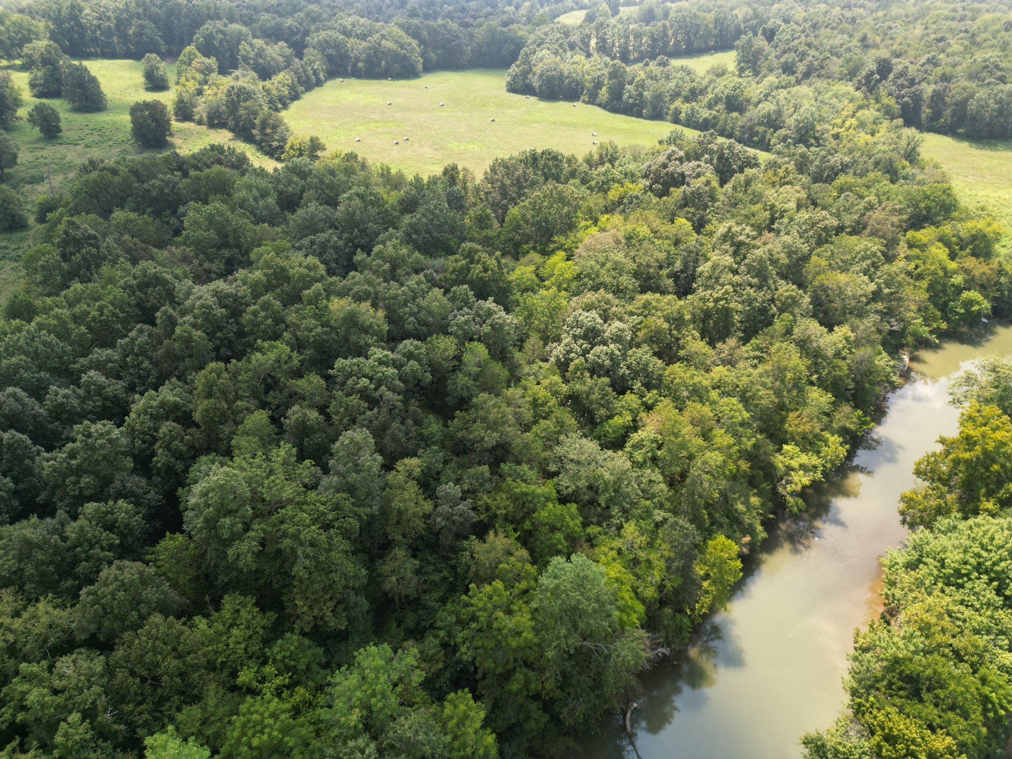 0 Joe Gulley Road Pulaski, TN 38478 - Photo 38 of 42 a view of a forest with a lake