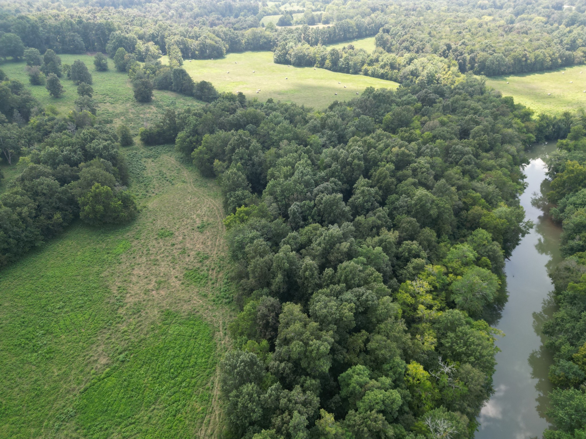 0 Joe Gulley Road Pulaski, TN 38478 - Photo 39 of 42 a view of a forest with a houses