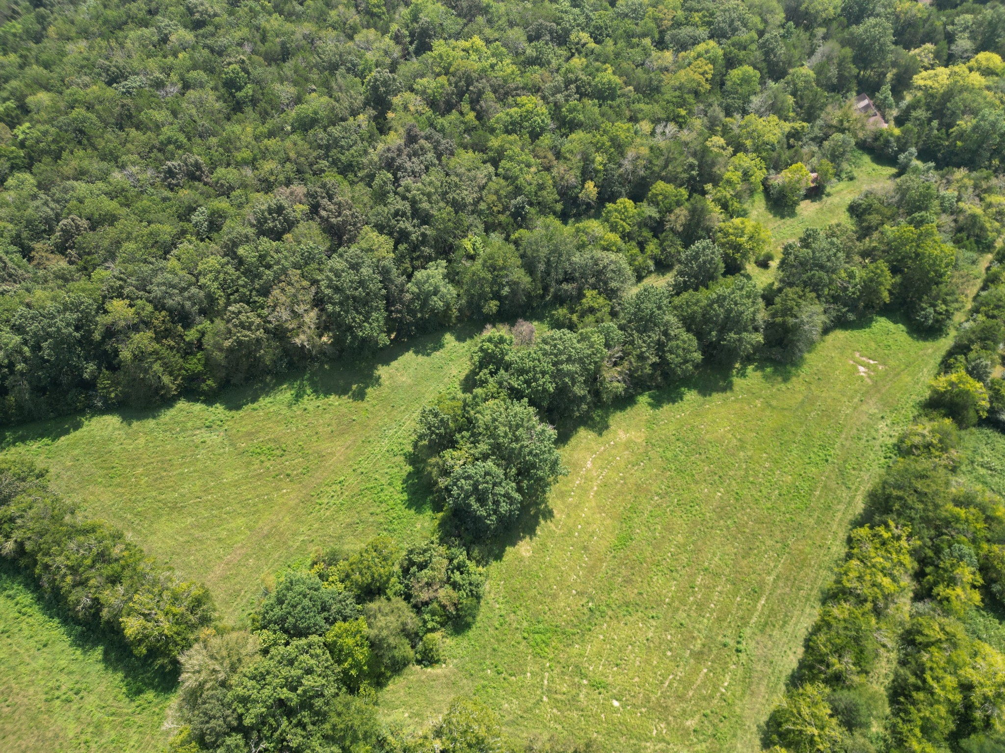 0 Joe Gulley Road Pulaski, TN 38478 - Photo 42 of 42 a view of a garden