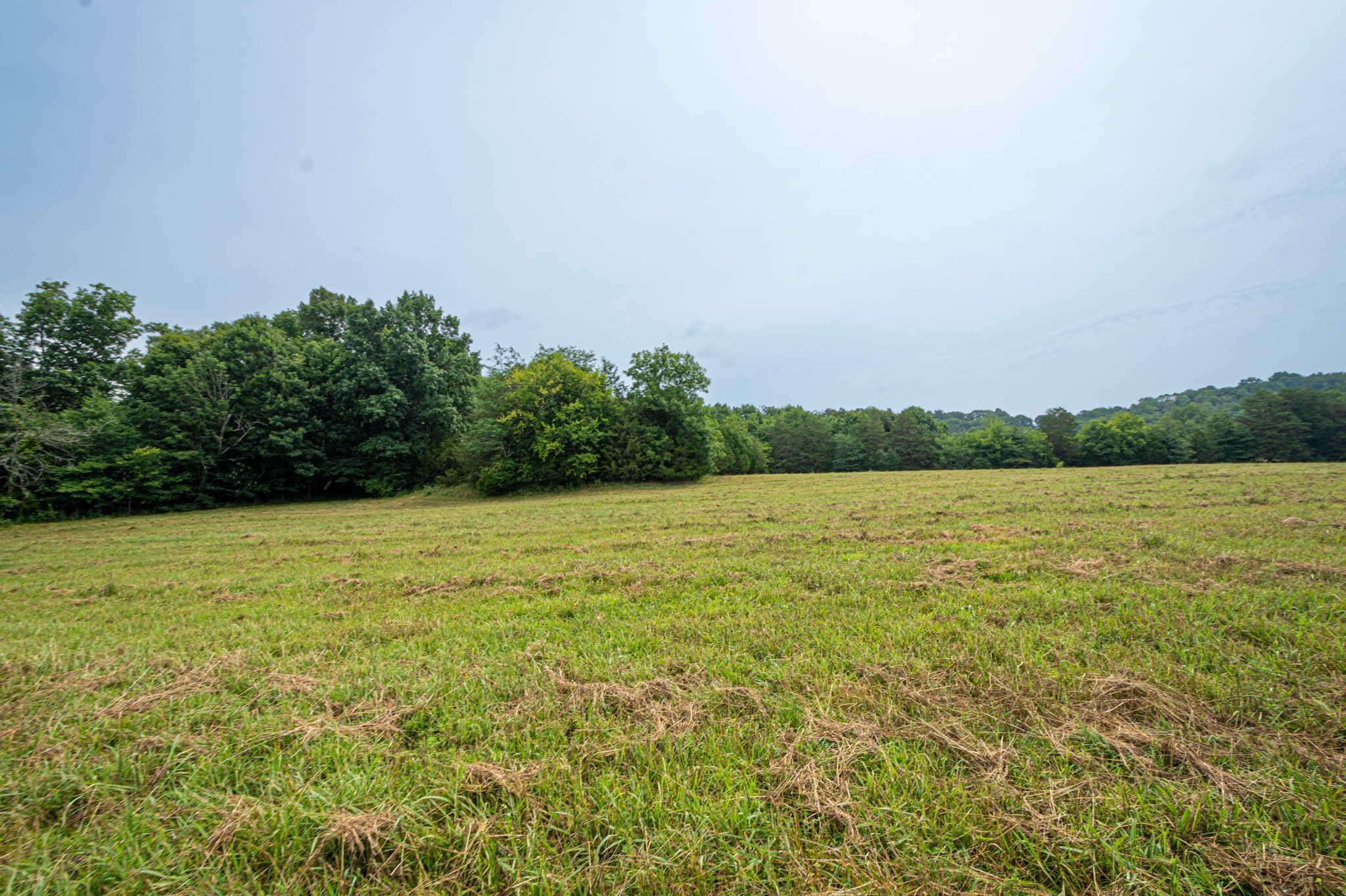 0 Joe Gulley Road Pulaski, TN 38478 - Photo 7 of 42 a view of a lake view