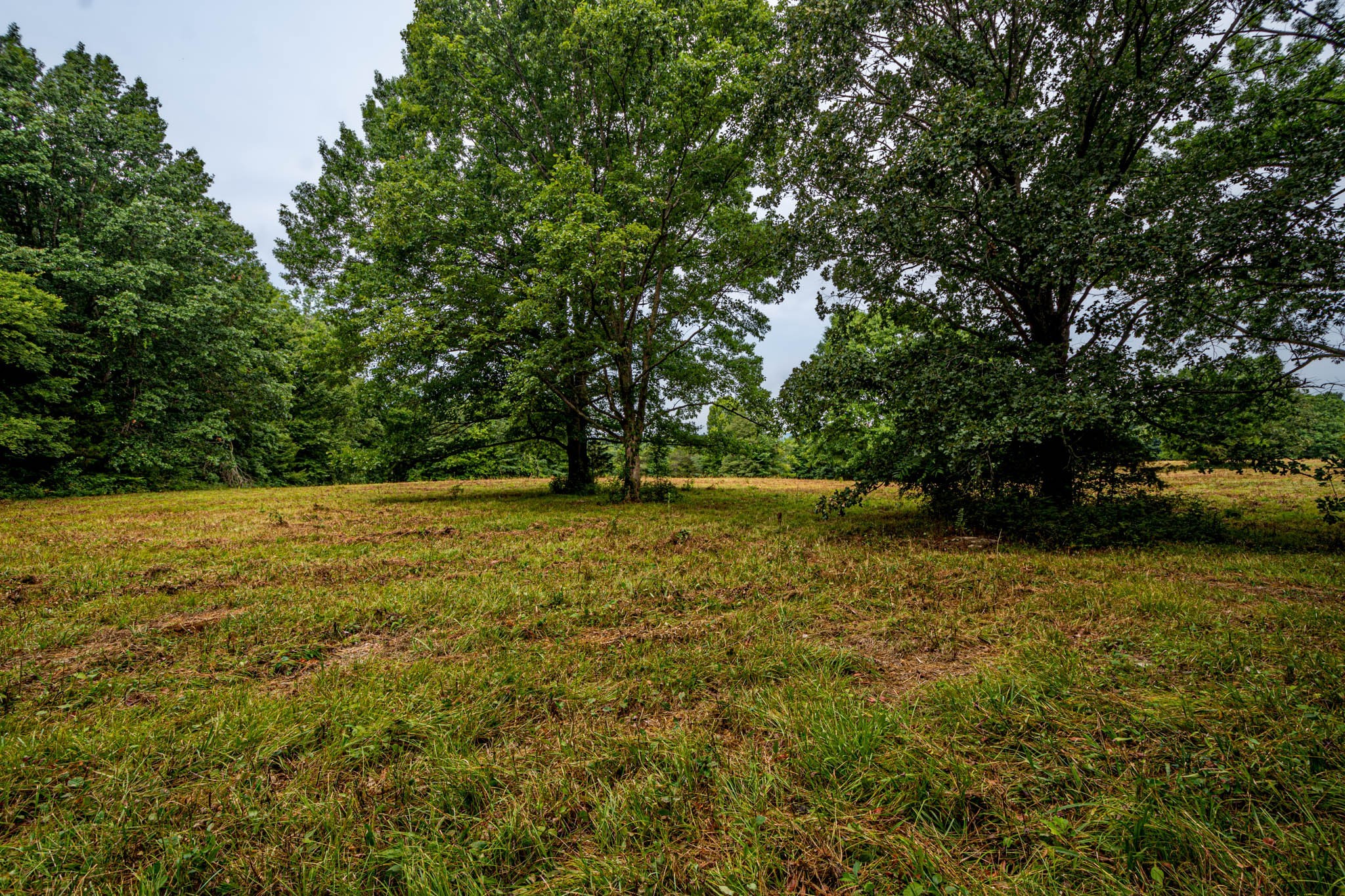 0 Joe Gulley Road Pulaski, TN 38478 - Photo 8 of 42 a view of outdoor space with deck and yard