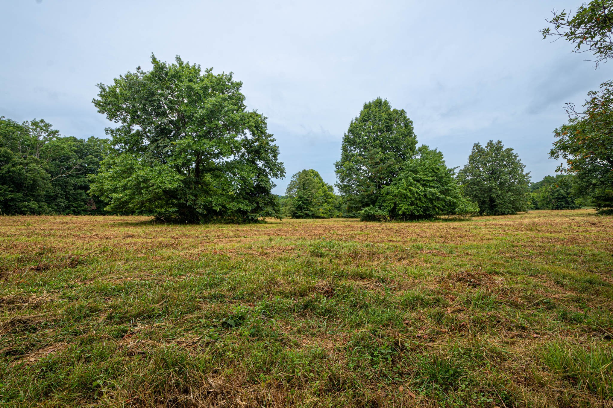 0 Joe Gulley Road Pulaski, TN 38478 - Photo 9 of 42 a view of outdoor space and yard