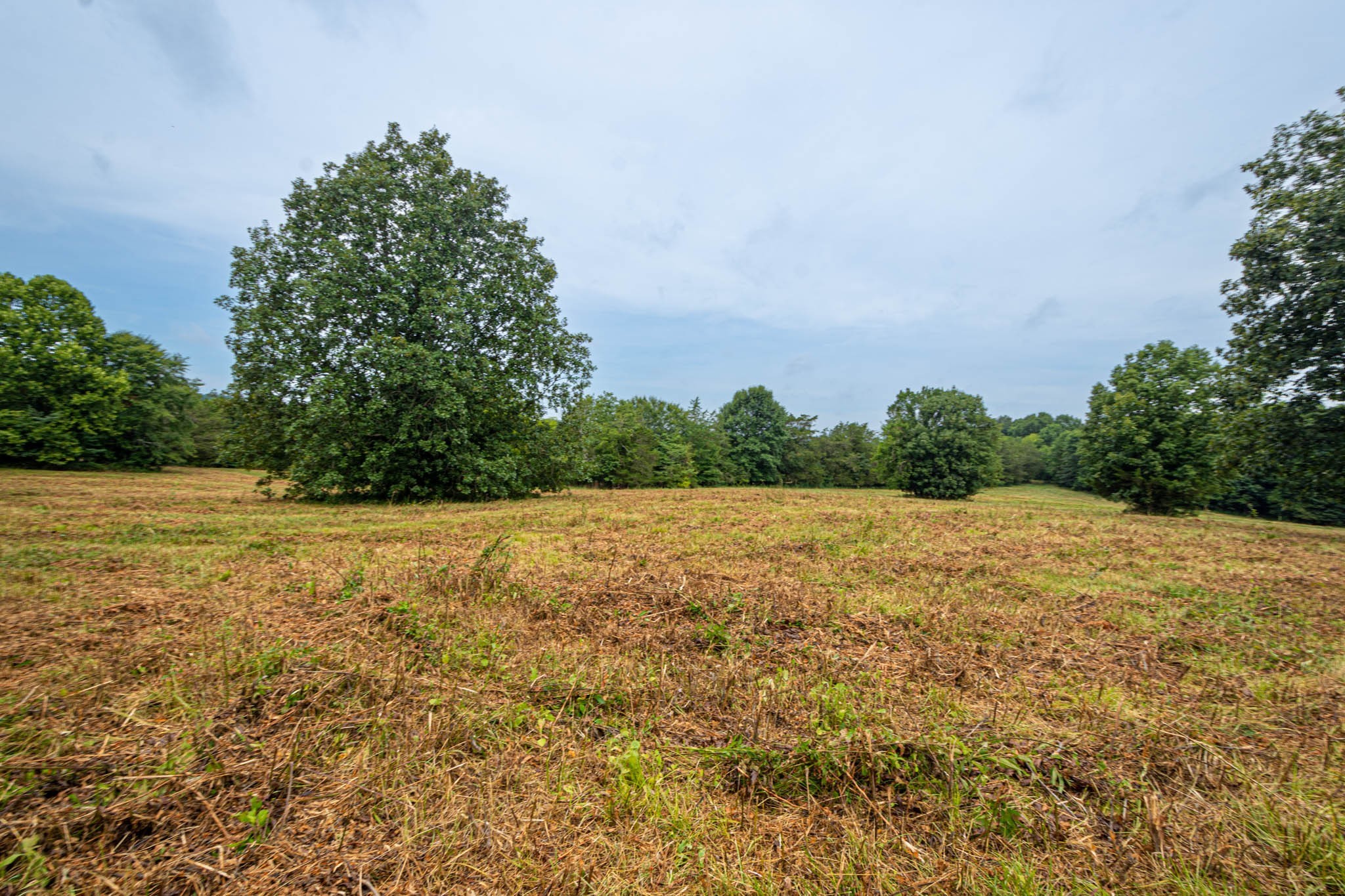 0 Joe Gulley Road Pulaski, TN 38478 - Photo 10 of 42 a view of an outdoor space and a yard