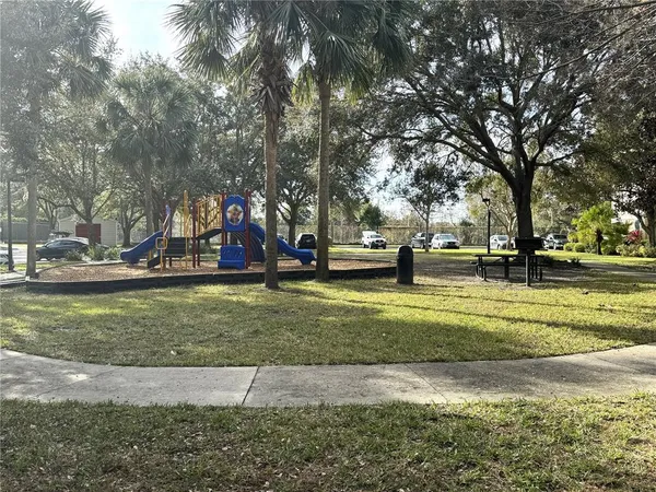 a view of park with large trees