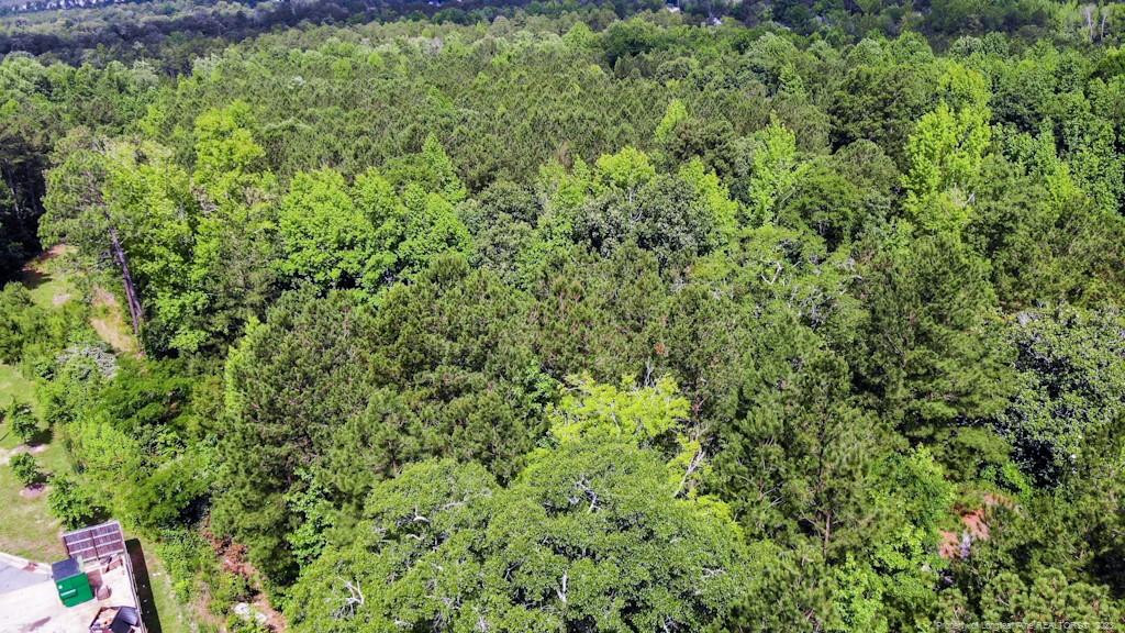 24-87 Nc Cameron, NC 28326 - Photo 8 of 28 a view of a lush green forest