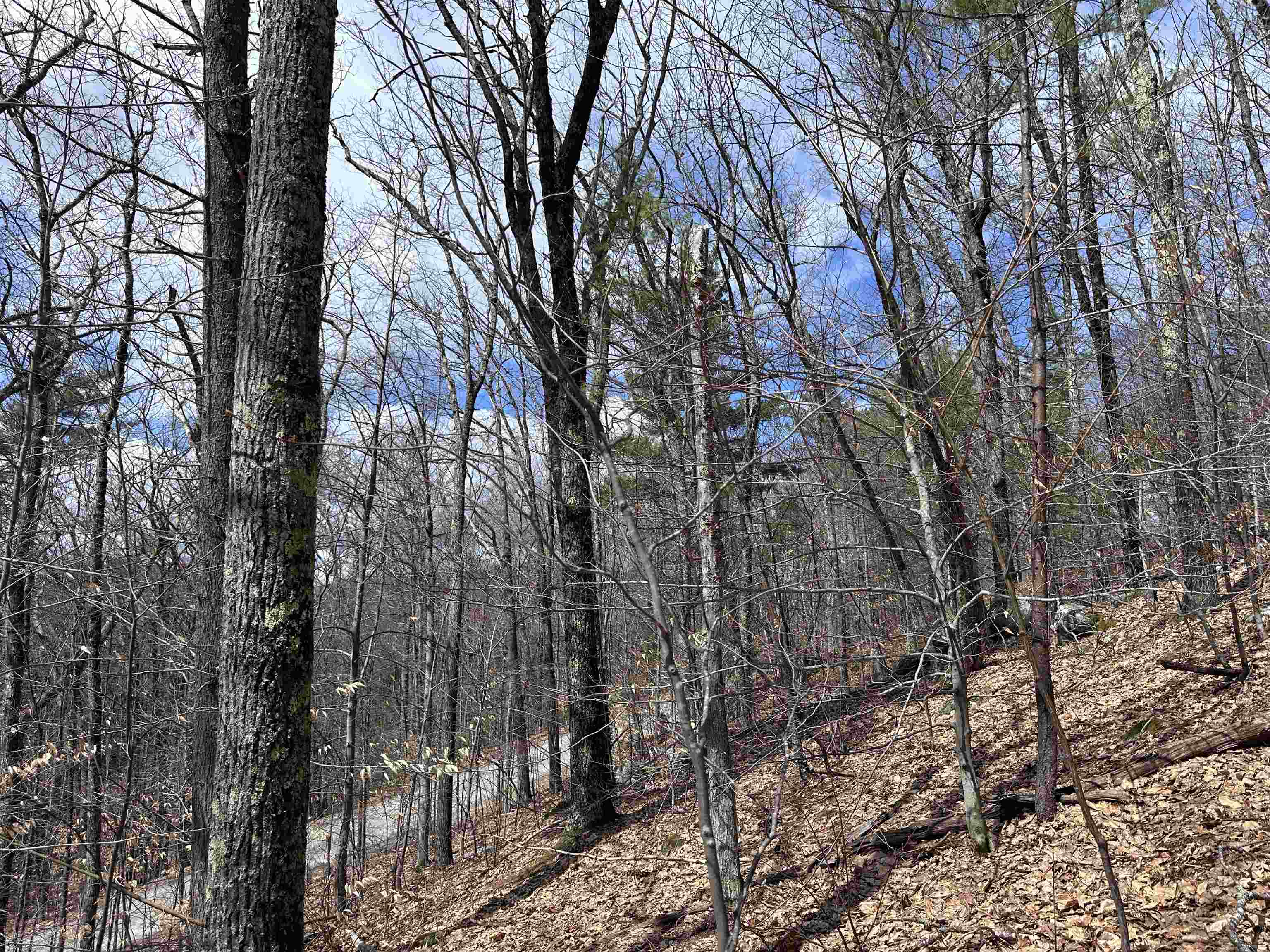 19 St Moritz Drive Madison, NH 03849 - Photo 2 of 19