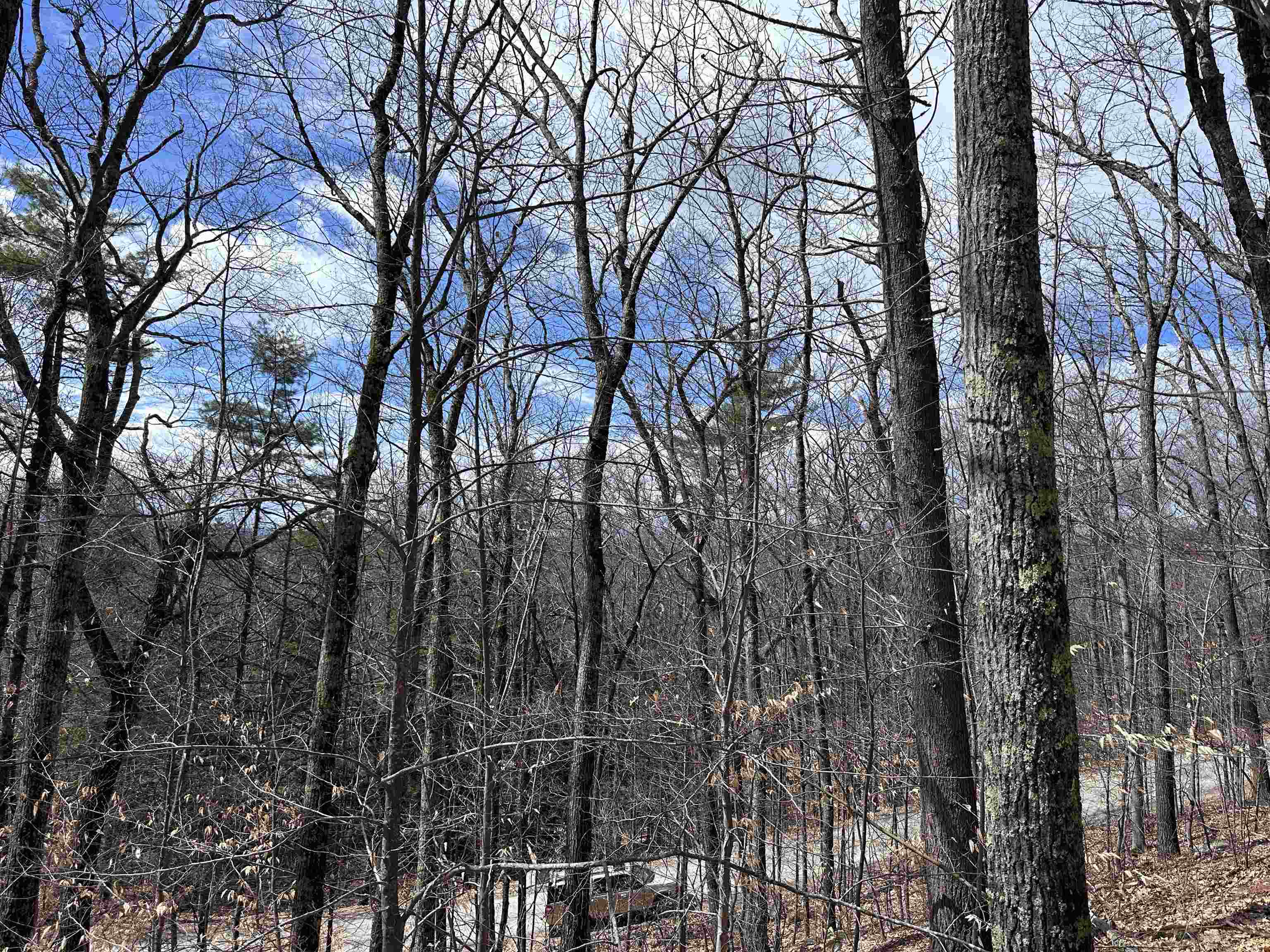 19 St Moritz Drive Madison, NH 03849 - Photo 3 of 19