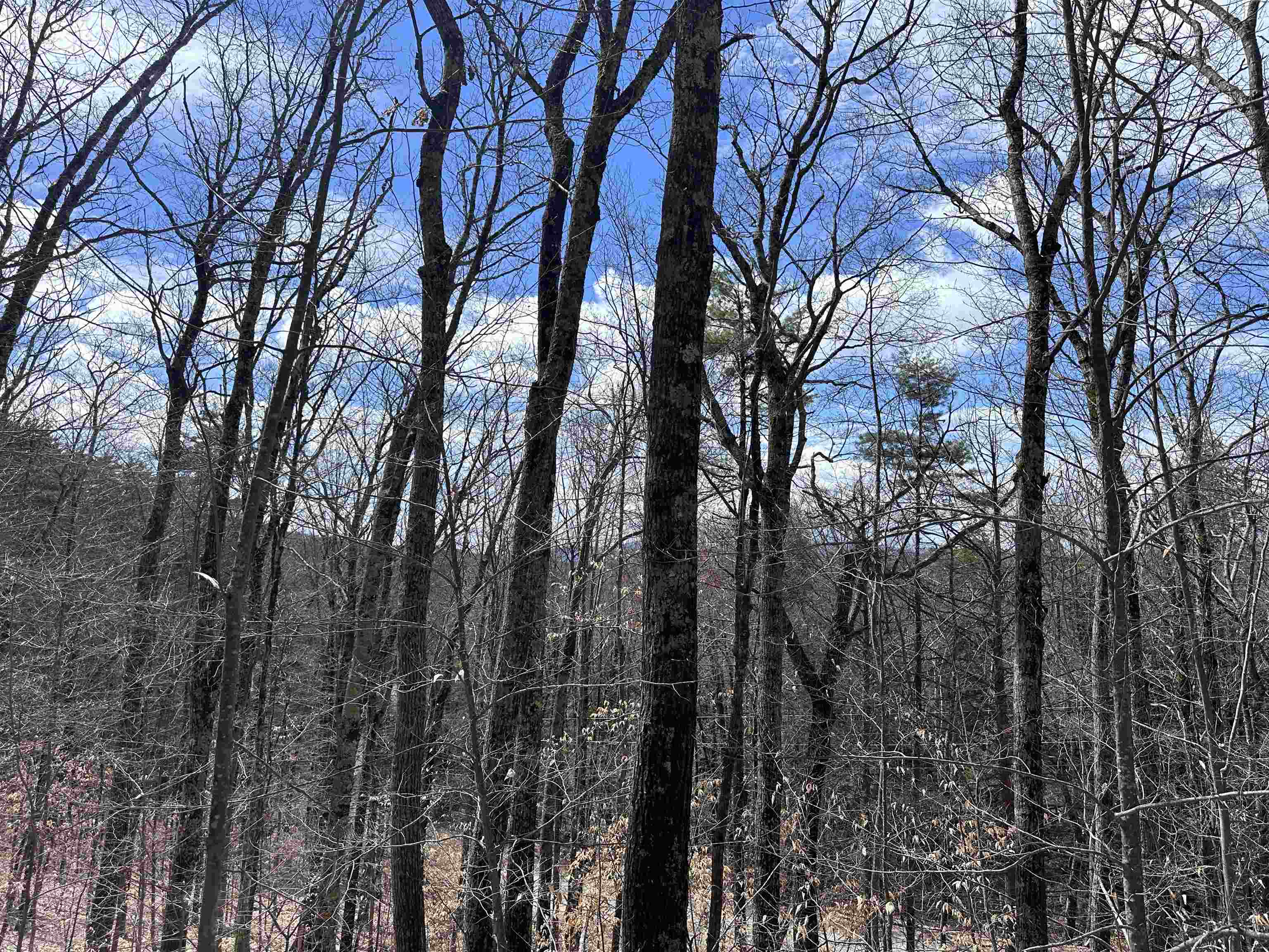 19 St Moritz Drive Madison, NH 03849 - Photo 4 of 19