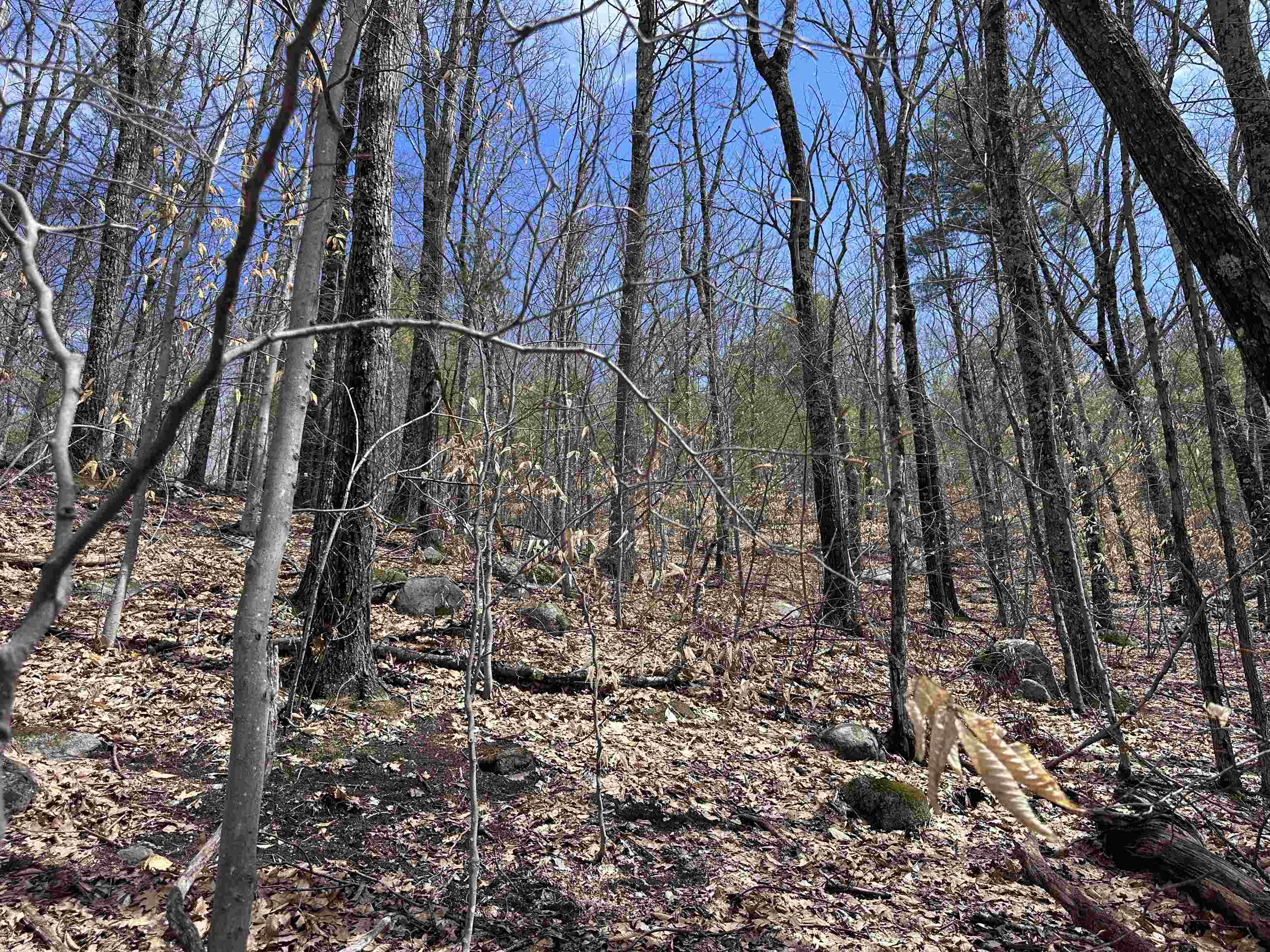 19 St Moritz Drive Madison, NH 03849 - Photo 5 of 19