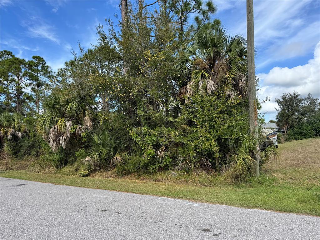 Zuber Ln Port North Port, FL 34286 - Photo 1 of 10 a view of a yard with a tree