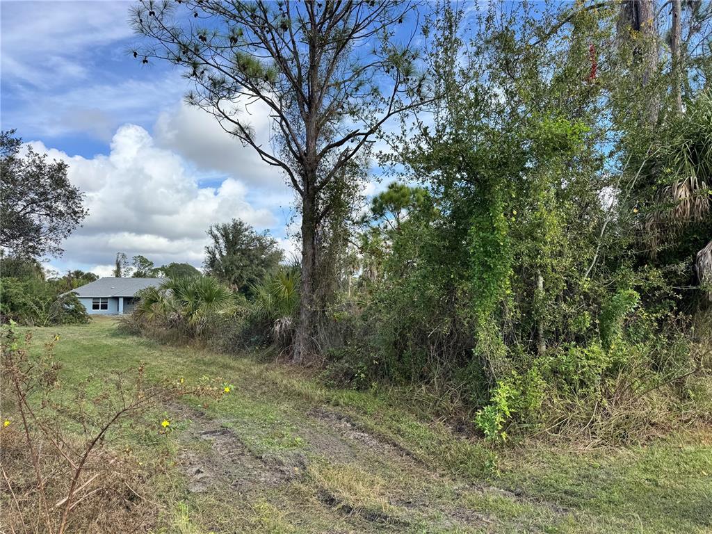 Zuber Ln Port North Port, FL 34286 - Photo 2 of 10 a view of a trees with yard