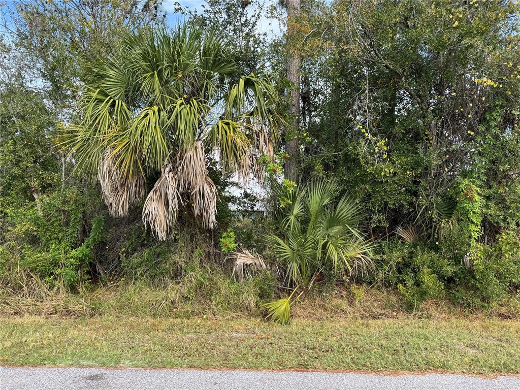 Zuber Ln Port North Port, FL 34286 - Photo 4 of 10 a view of a yard
