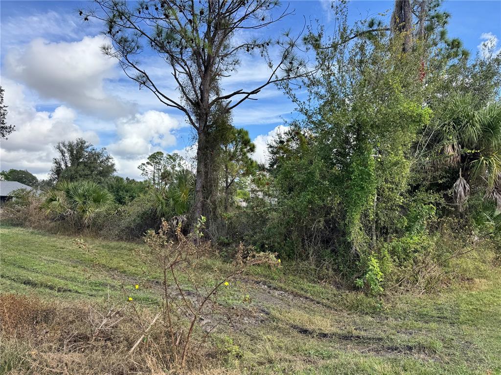 Zuber Ln Port North Port, FL 34286 - Photo 5 of 10 a view of a forest filled with trees
