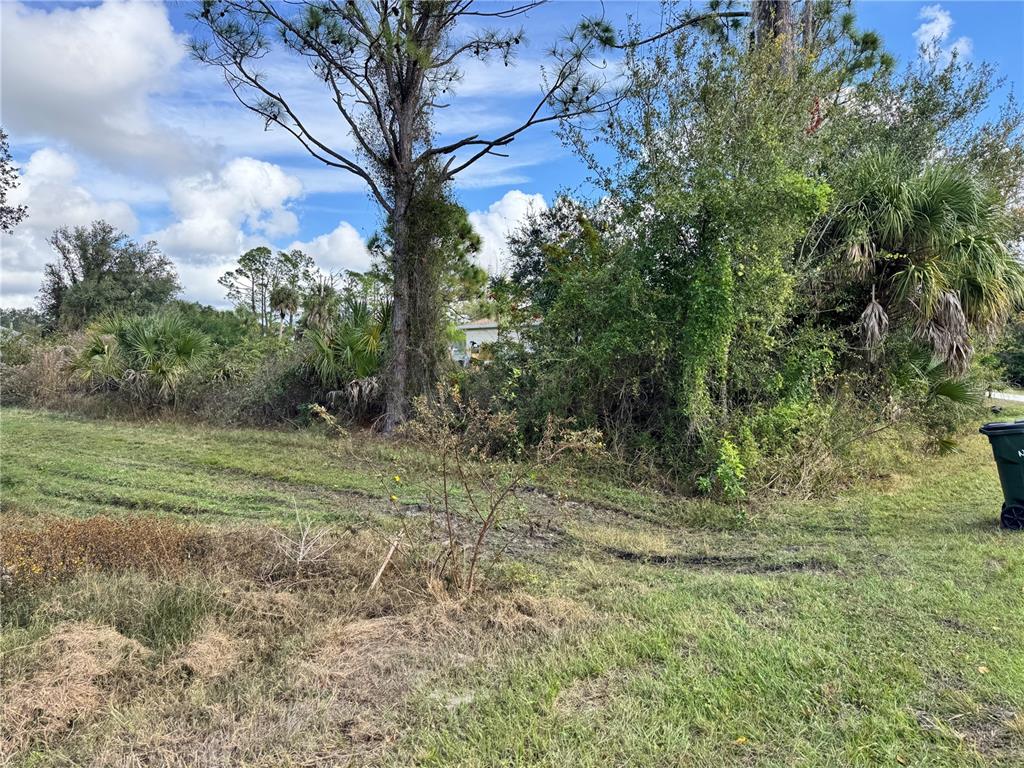 Zuber Ln Port North Port, FL 34286 - Photo 6 of 10 a view of a yard with a tree
