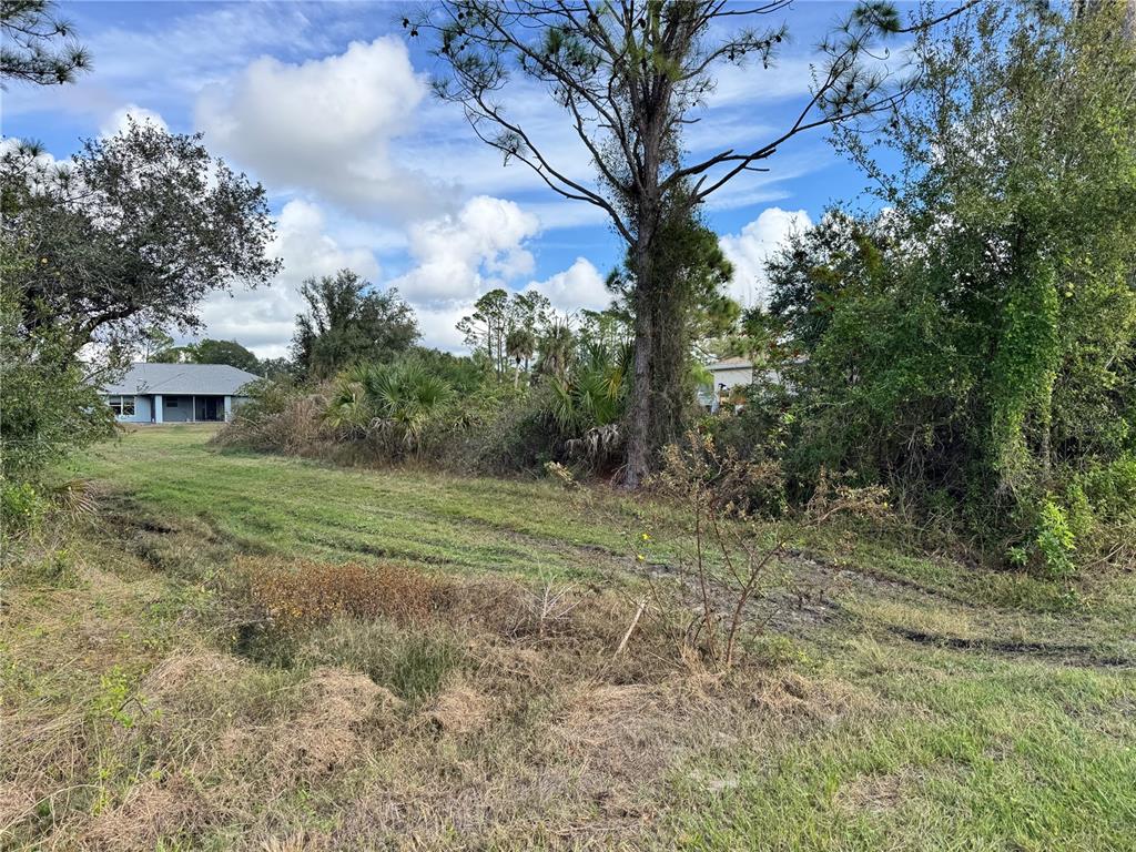 Zuber Ln Port North Port, FL 34286 - Photo 7 of 10 a view of a yard with a tree