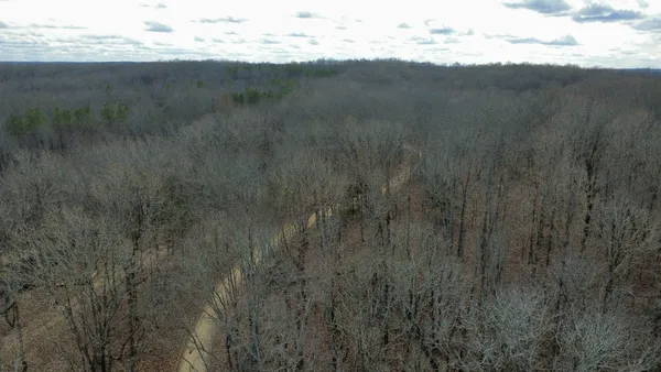 a view of a dry yard with trees