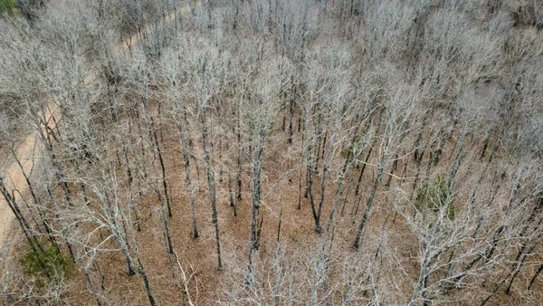a view of a dry yard