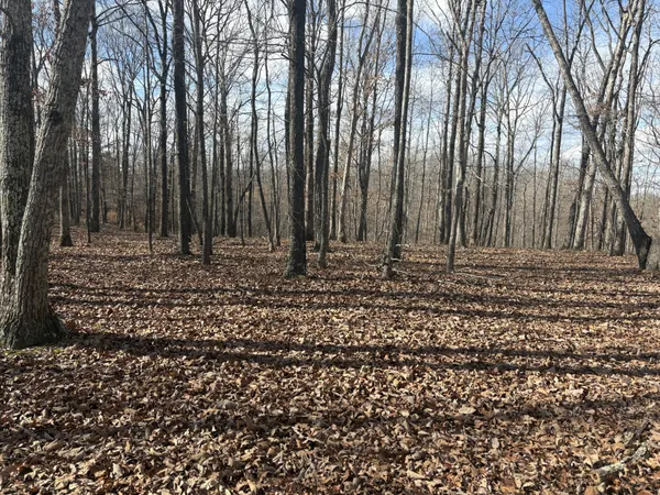 a view of outdoor space with trees