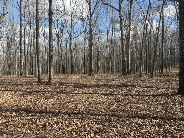 a view of outdoor space with trees