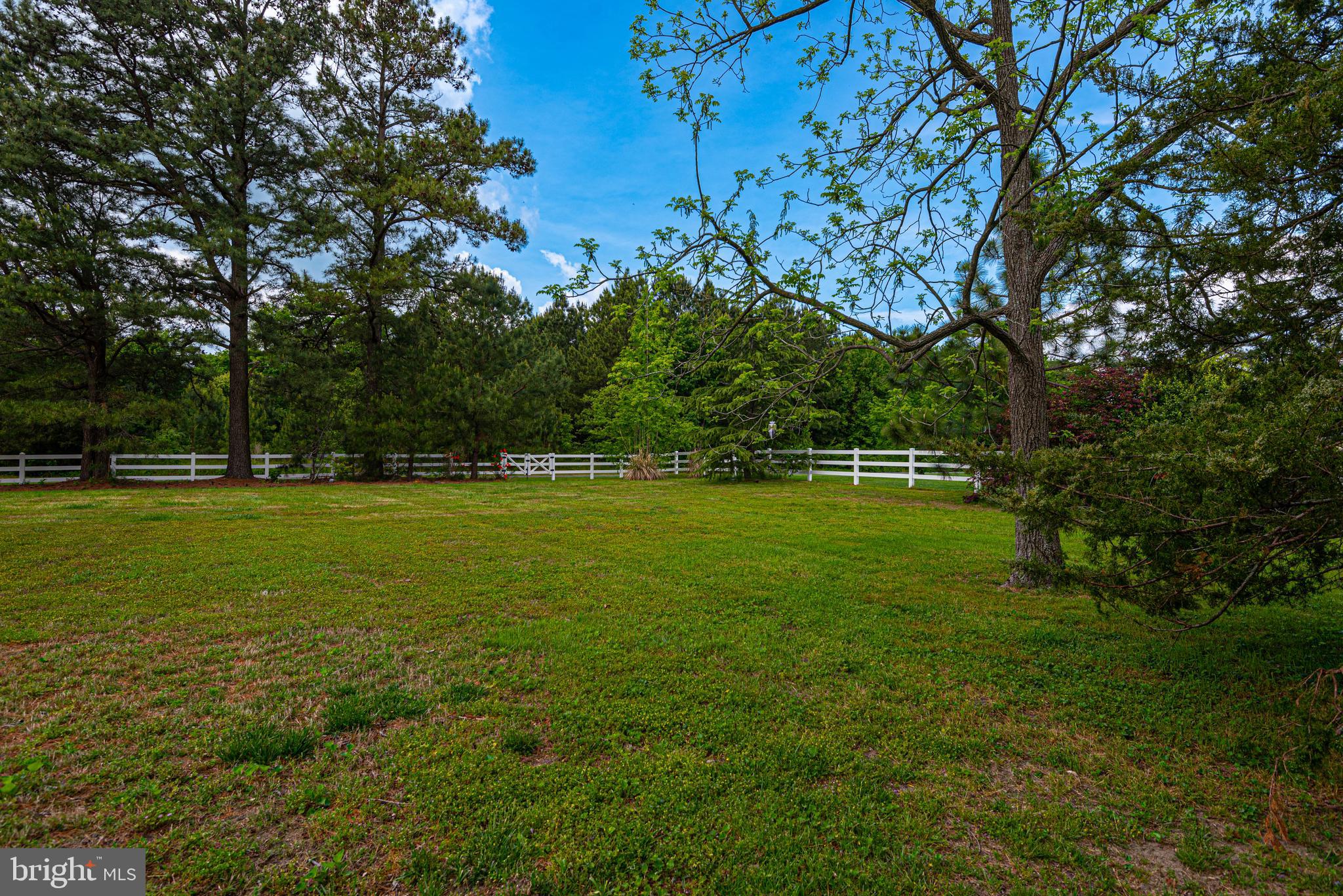 30587 Sandy Landing Road Dagsboro, DE 19939 - Photo 66 of 67 Gallery Image 66