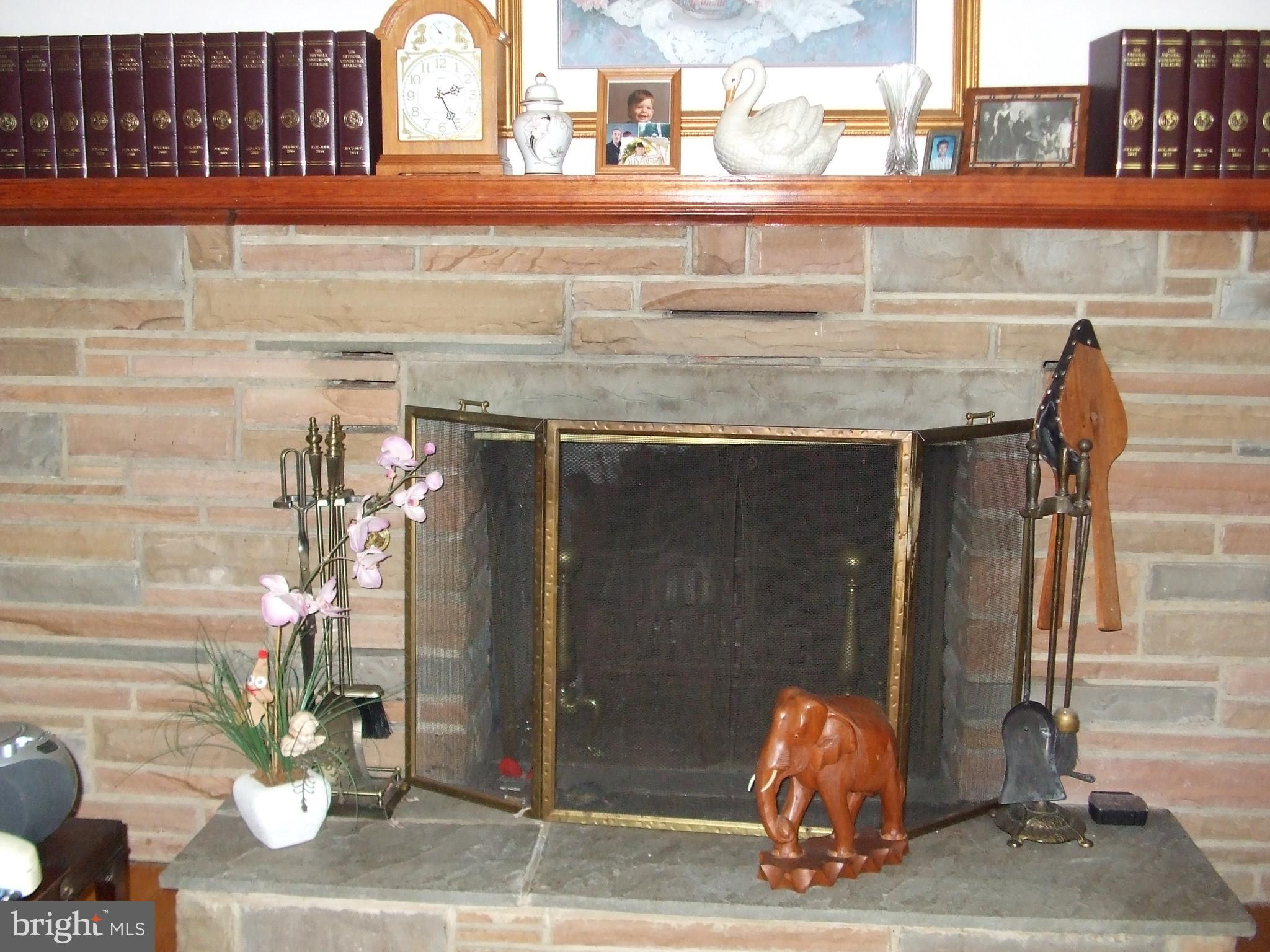 3811 Enterprise Road Bowie, MD 20721 - Photo 8 of 20 Living Room Fireplace