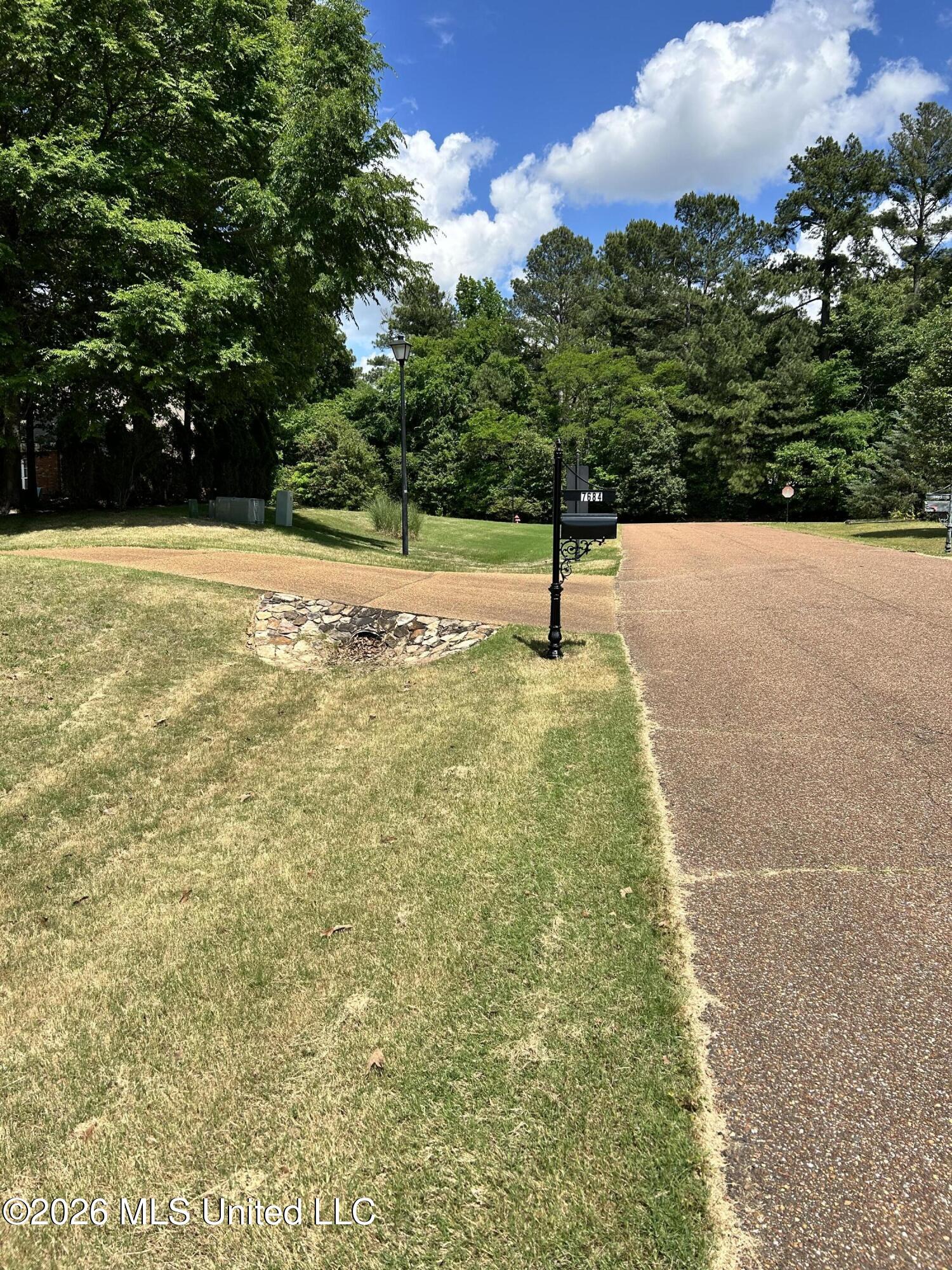 7684 Rigmoore Point North Olive Branch, MS 38654 - Photo 8 of 58 Drive way view