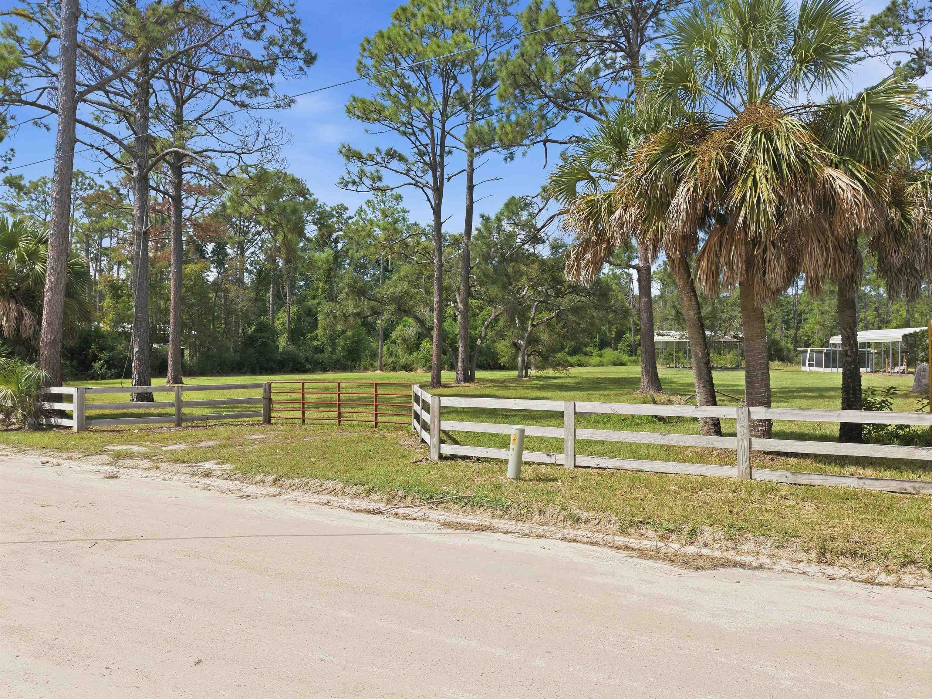 19741 Jody Morgan Road Perry, FL 32348 - Photo 23 of 24 Gallery Image 23