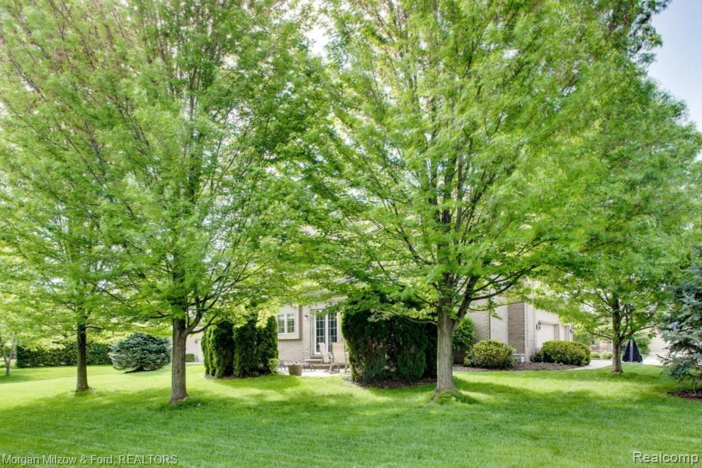 2019 Dunham Drive Rochester, MI 48306 - Photo 28 of 32 2019 Dunham Rochester MI 48306-large-029-2019 Dunham0029FULL-1500x1000-72dpi.jpg