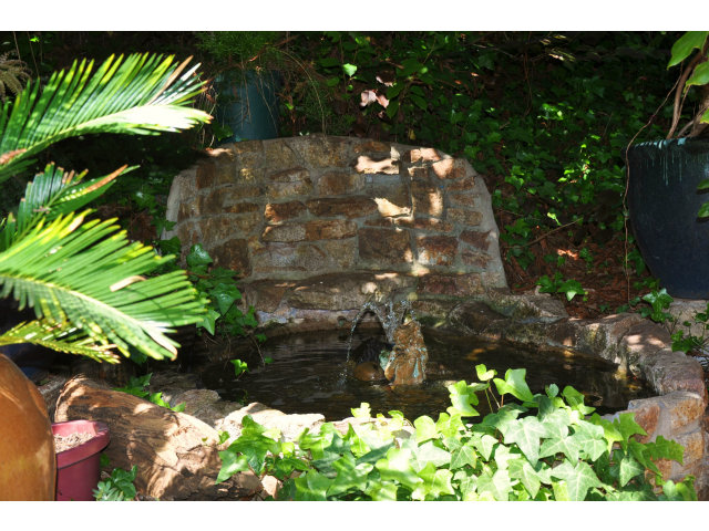 10250 Alba Road Ben Lomond, CA 95005 - Photo 8 of 12 a view of a garden