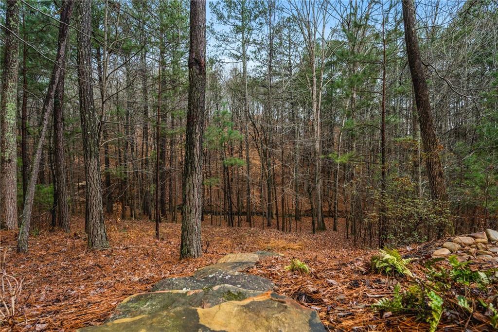 1122 Flagstone Way Acworth, GA 30101 - Photo 48 of 50 a view of a forest