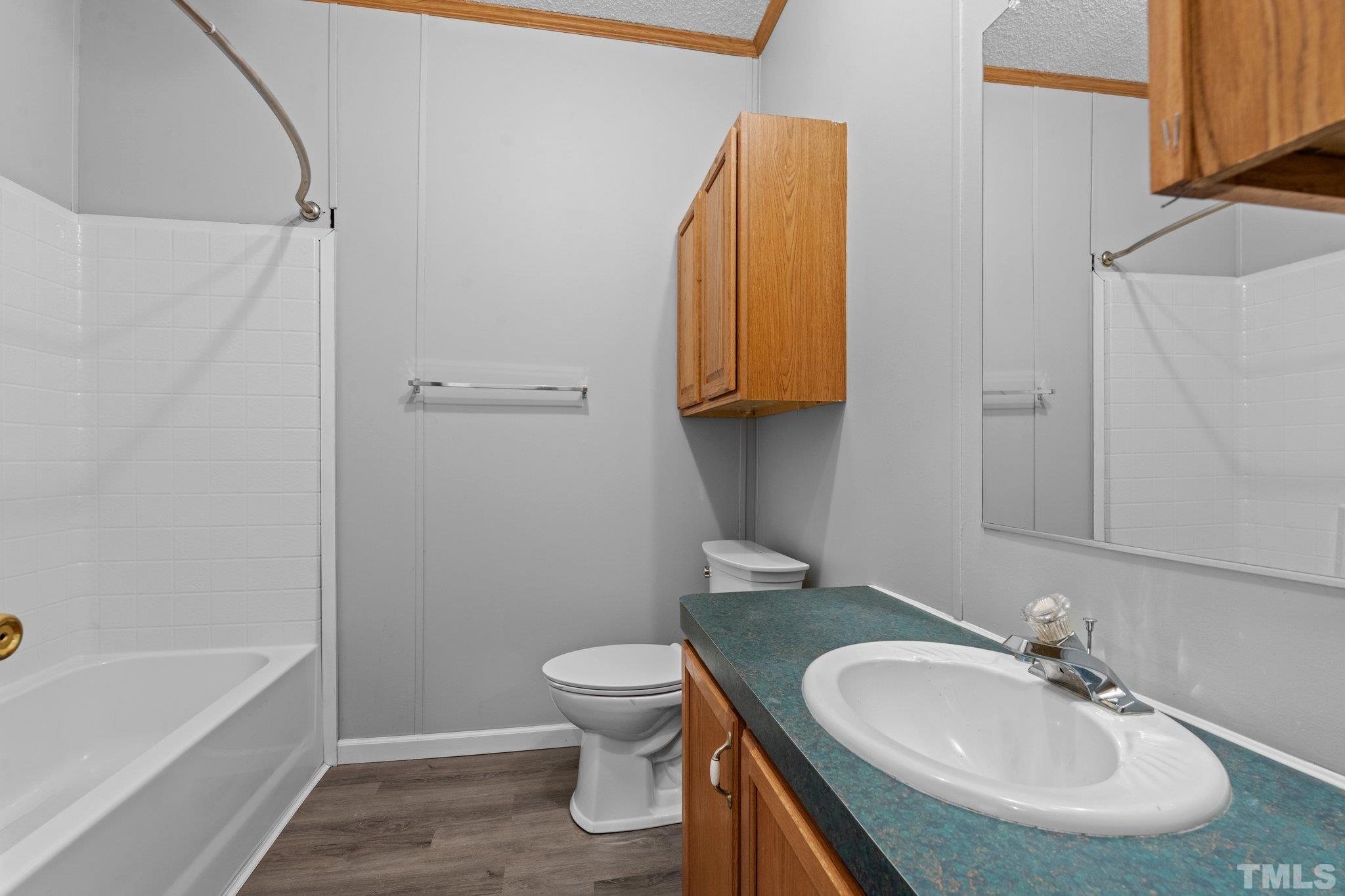 199 New Chestnut Drive Rougemont, NC 27572 - Photo 18 of 28 a bathroom with a sink a toilet and bathtub