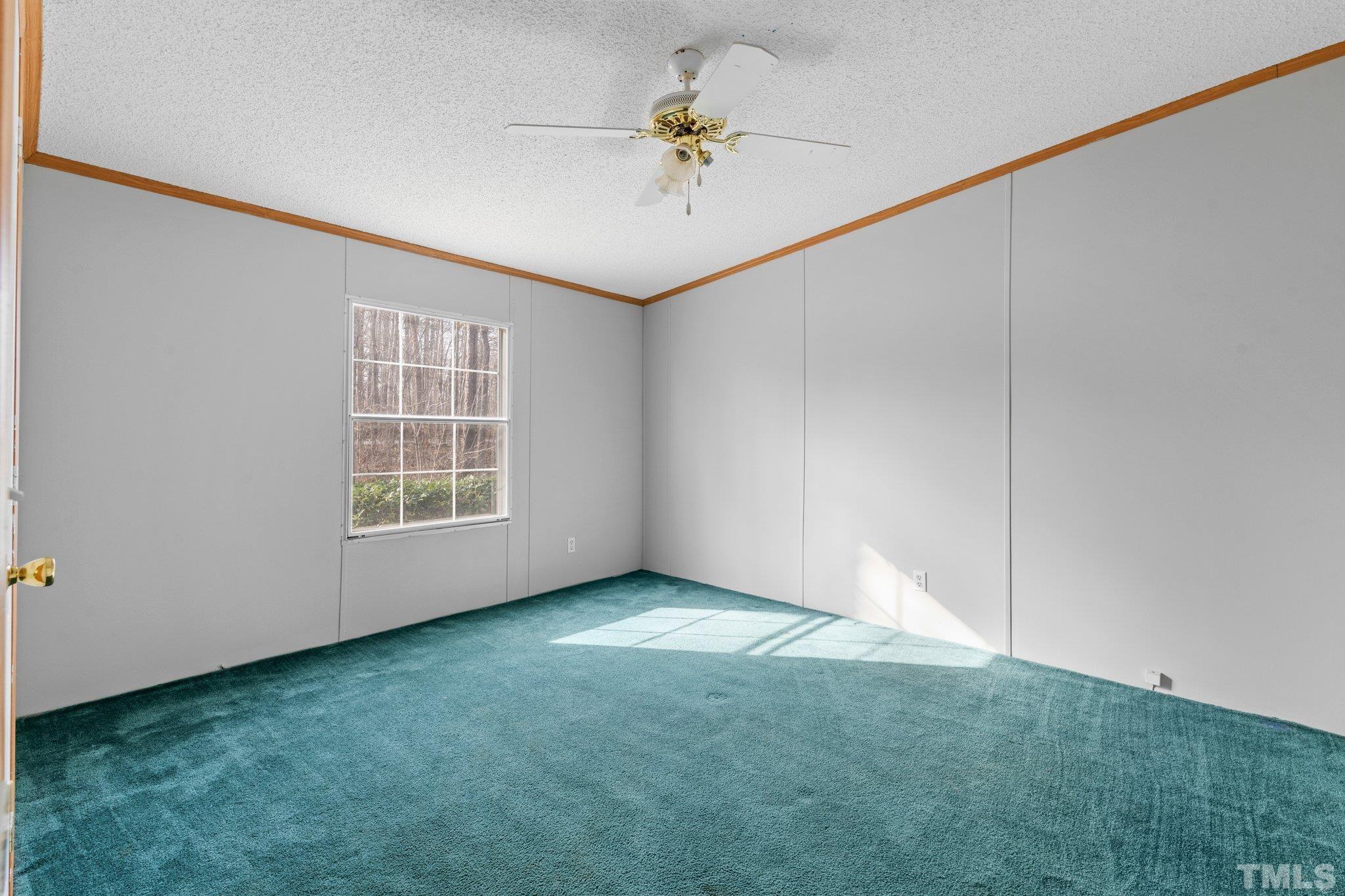 199 New Chestnut Drive Rougemont, NC 27572 - Photo 21 of 28 an empty room with windows and fan
