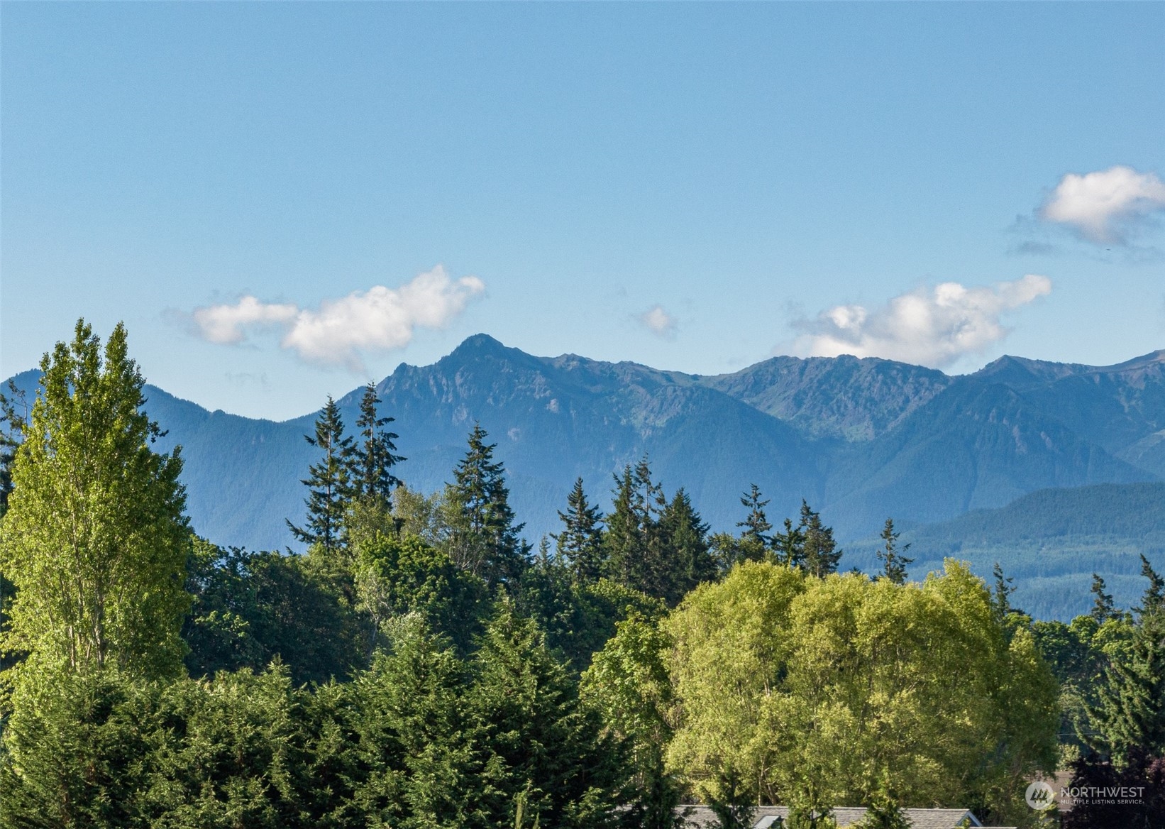 1575 West Hendrickson Road Sequim, WA 98382 - Photo 15 of 16 a view of a houses with a lush green forest