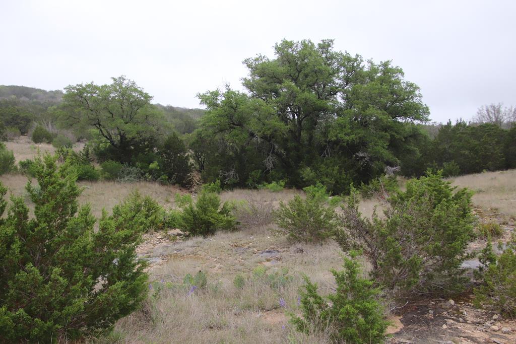 2122 Cr 450 Rocksprings Tx 78880 Rocksprings, TX 78880 - Photo 5 of 9