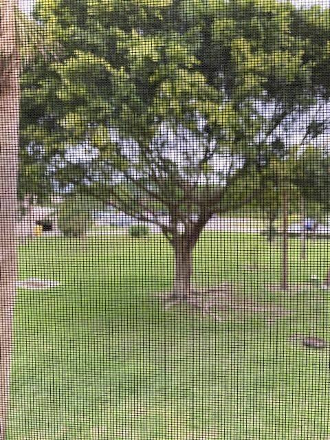 5130 Las Verdes Circle, Unit 214 Delray Beach, FL 33484 - Photo 16 of 22 view