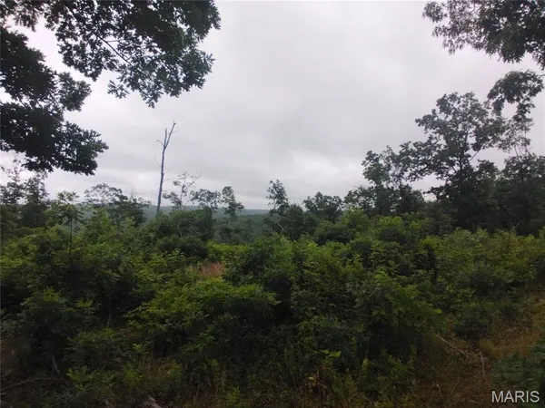 $285,000 | 12 Tract 12, Belleview, MO 63623