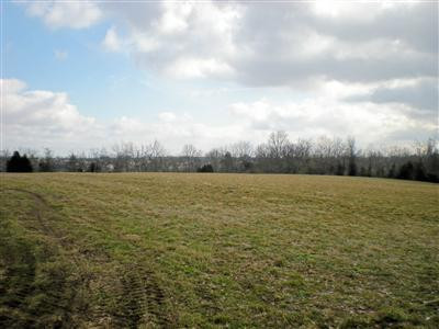 1717 Ballard Road Paint Lick, KY 40461 - Photo 3 of 49 Photo 3
