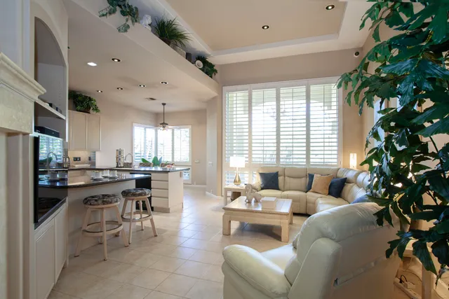a living room with furniture and a potted plant