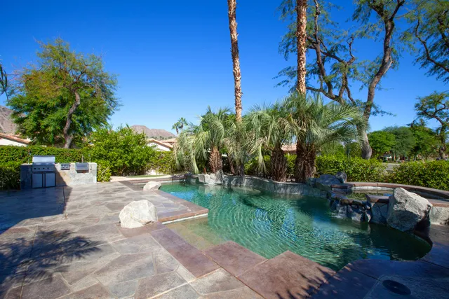 a view of a backyard with couches plants and large trees