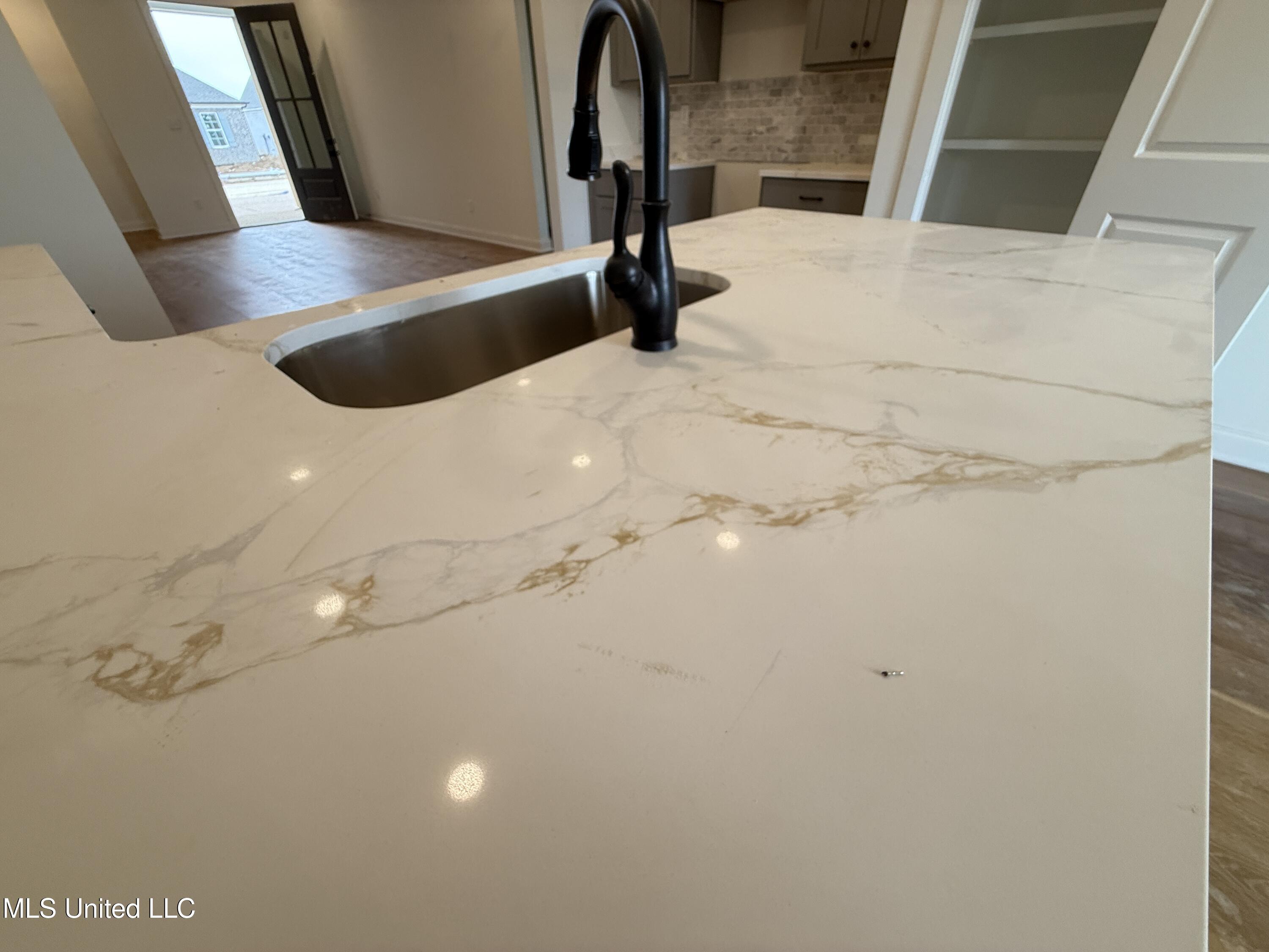 767 Coahoma Court Nesbit, MS 38651 - Photo 11 of 37 Counter tops