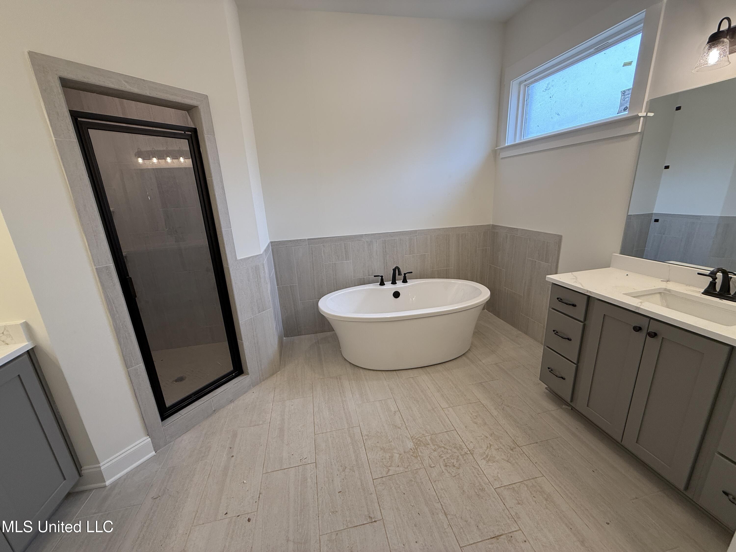 767 Coahoma Court Nesbit, MS 38651 - Photo 15 of 37 Primary bath