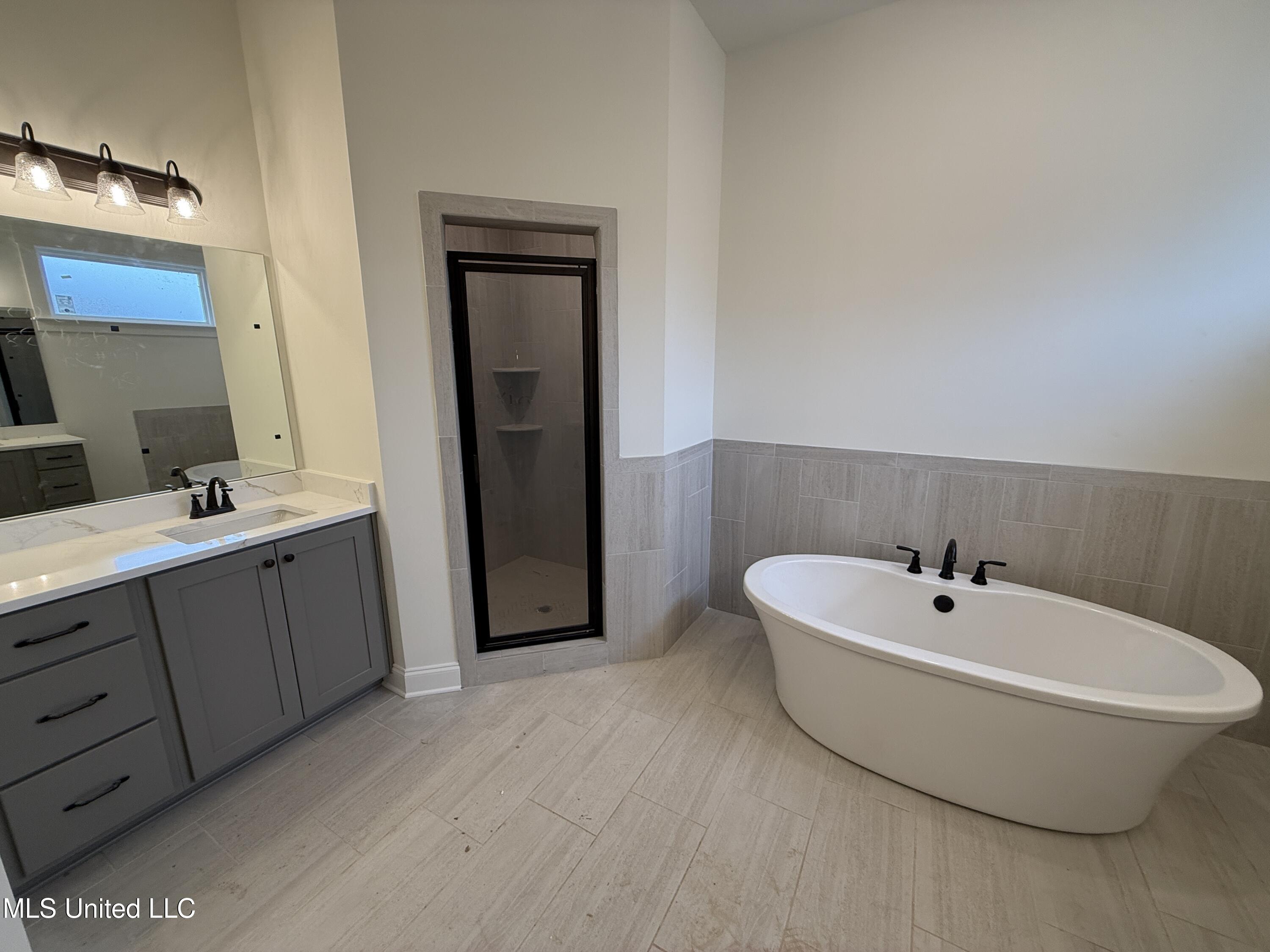 767 Coahoma Court Nesbit, MS 38651 - Photo 16 of 37 Primary bath