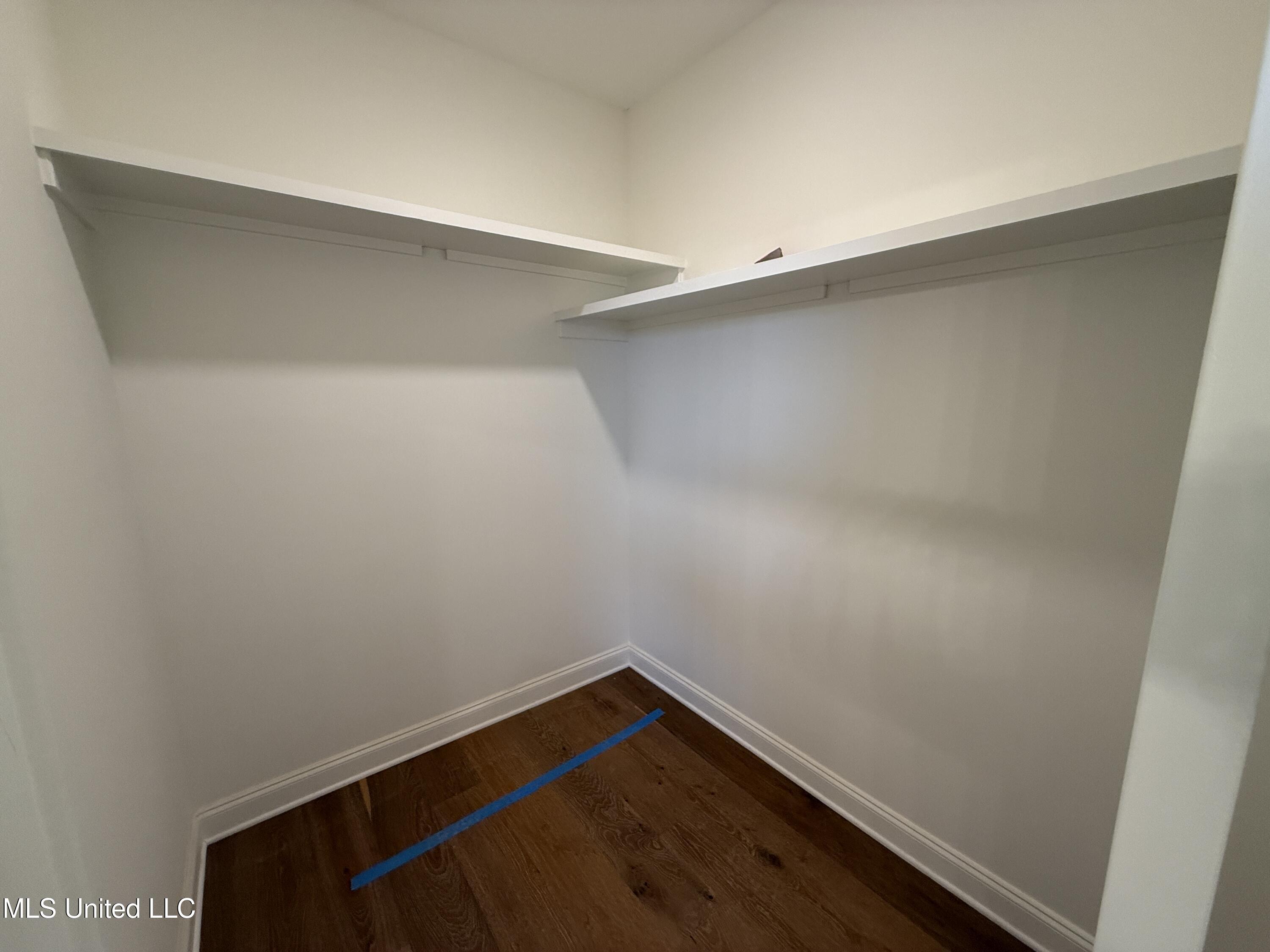 767 Coahoma Court Nesbit, MS 38651 - Photo 18 of 37 Primary closet