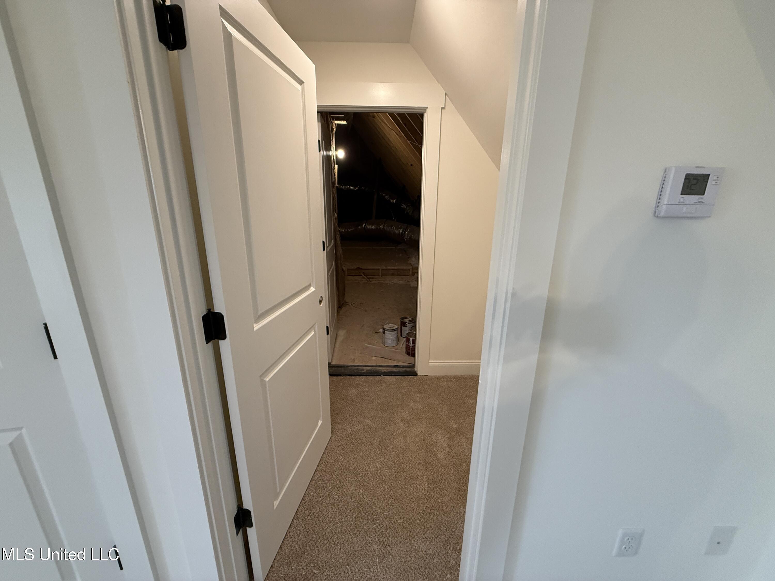 767 Coahoma Court Nesbit, MS 38651 - Photo 31 of 37 Closet and attic