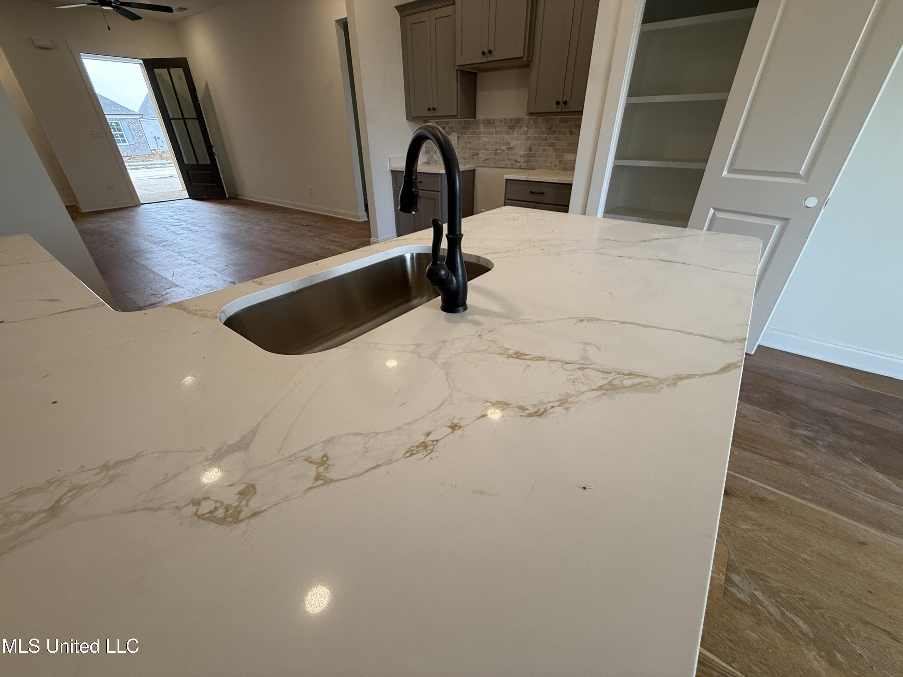 767 Coahoma Court Nesbit, MS 38651 - Photo 10 of 37 counter tops